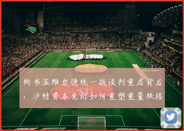 约书亚维尔德统一战谈判重启背后,沙特资本竞标如何重塑重量级格局
