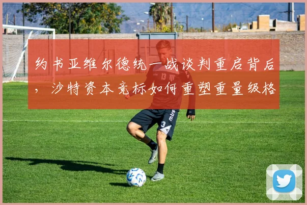 约书亚维尔德统一战谈判重启背后，沙特资本竞标如何重塑重量级格局